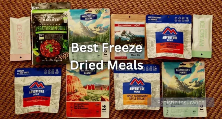 Best Freeze-Dried Meals: A Comprehensive Guide