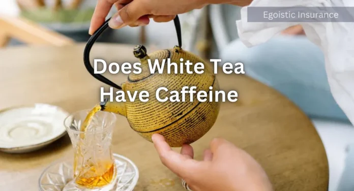 does white tea have caffeine?