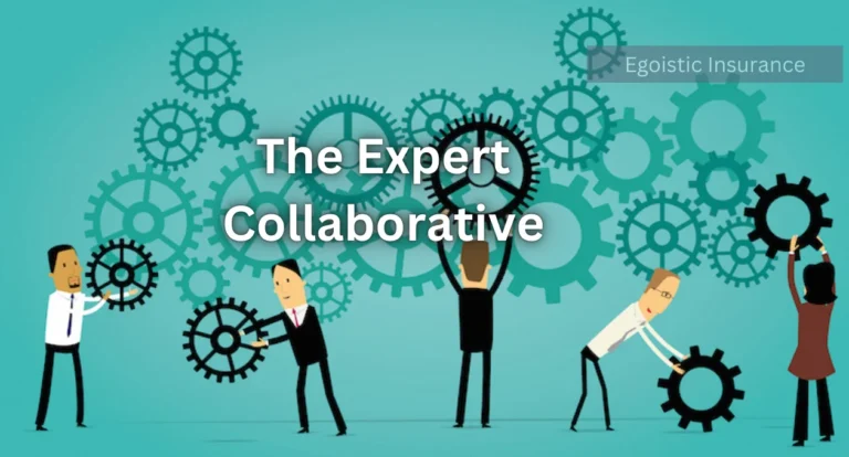 the expert collaborative