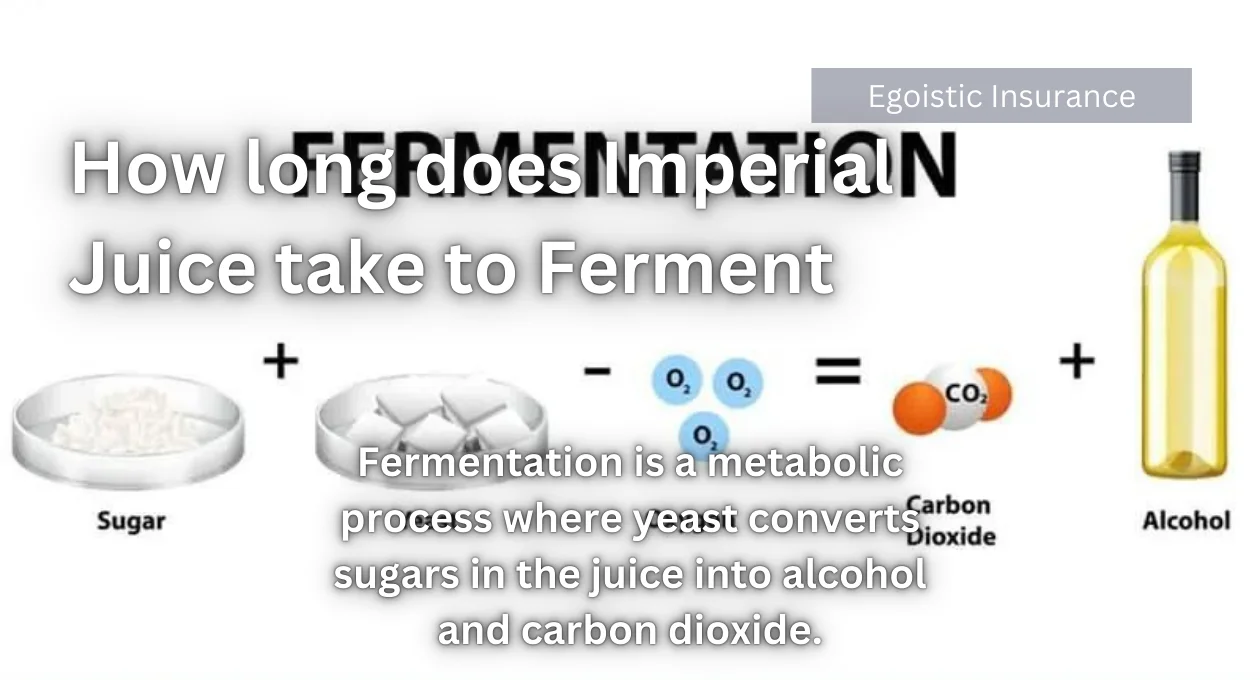 How Long Does Imperial Juice Take to Ferment?