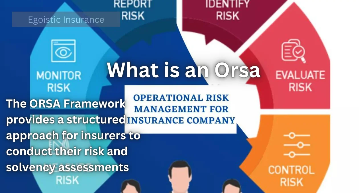 what is an orsa