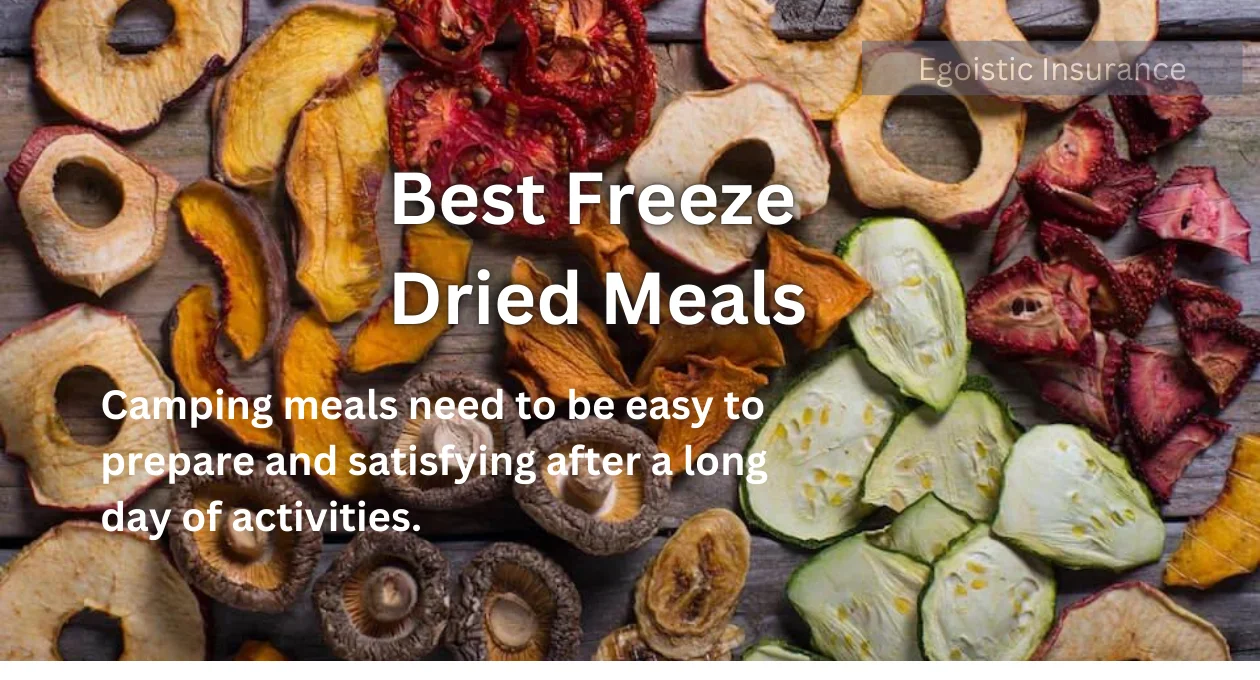 Best Freeze-Dried Meals: A Comprehensive Guide 