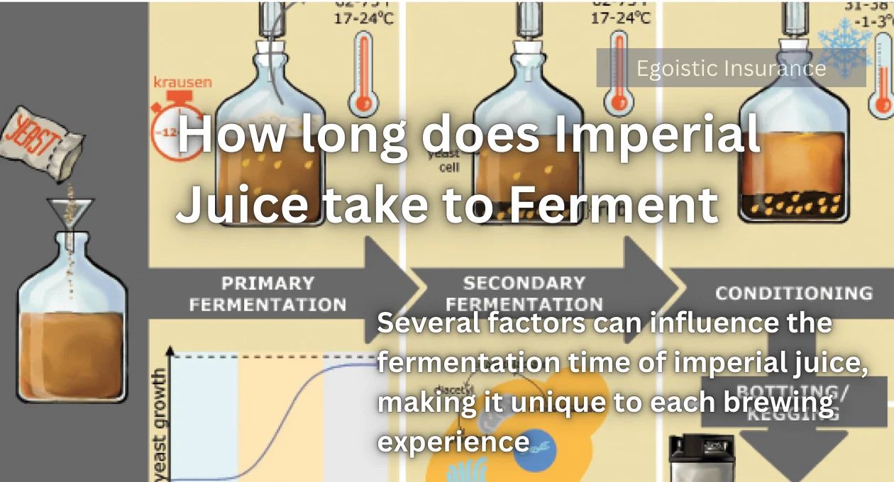 How Long Does Imperial Juice Take to Ferment?