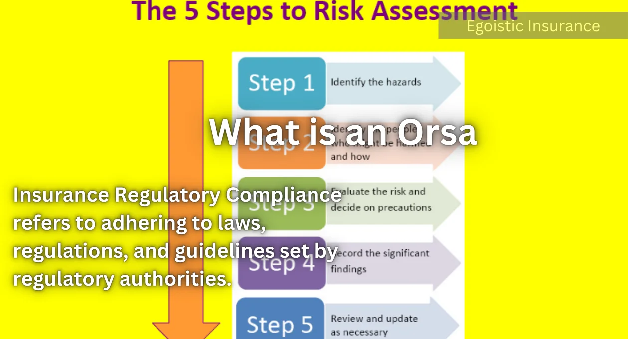 what is an orsa