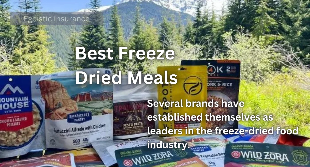 Best Freeze-Dried Meals: A Comprehensive Guide 