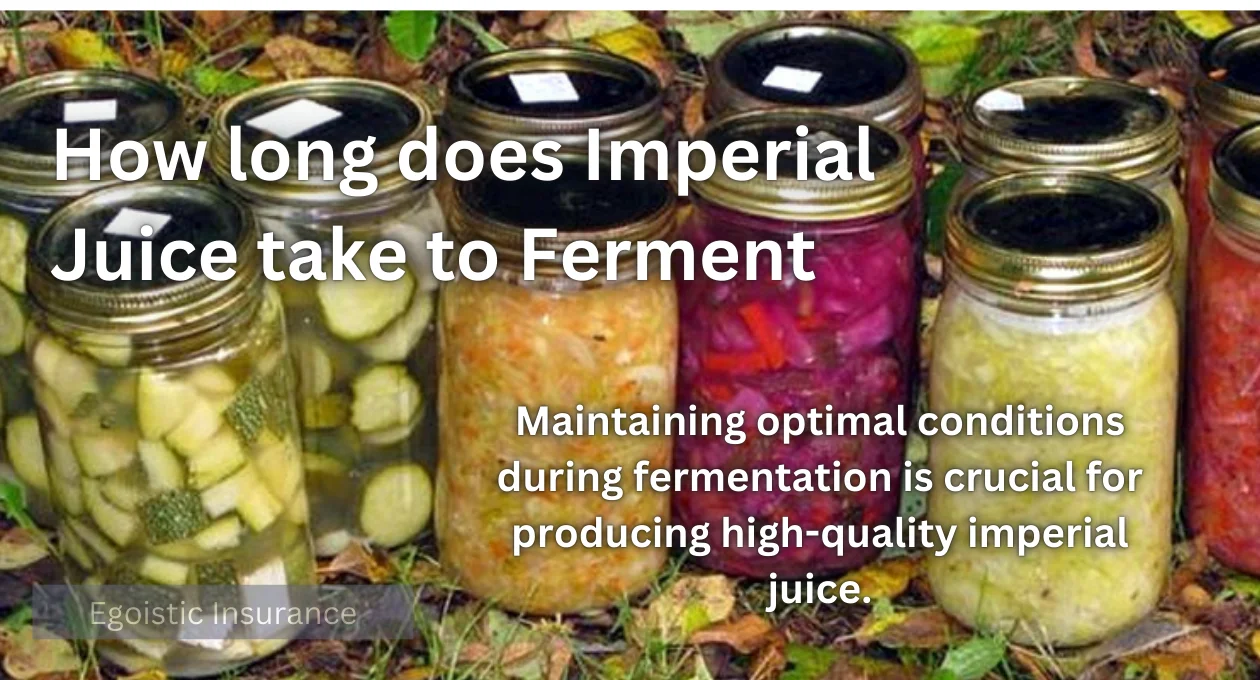 How Long Does Imperial Juice Take to Ferment?