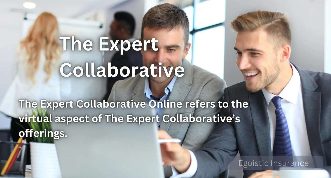 the expert collaborative