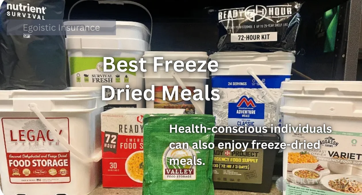 Best Freeze-Dried Meals: A Comprehensive Guide 