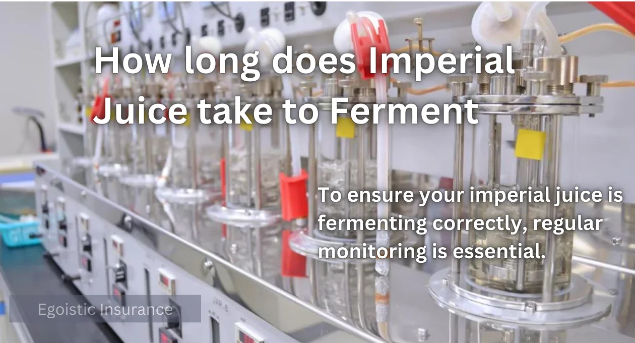 How Long Does Imperial Juice Take to Ferment?