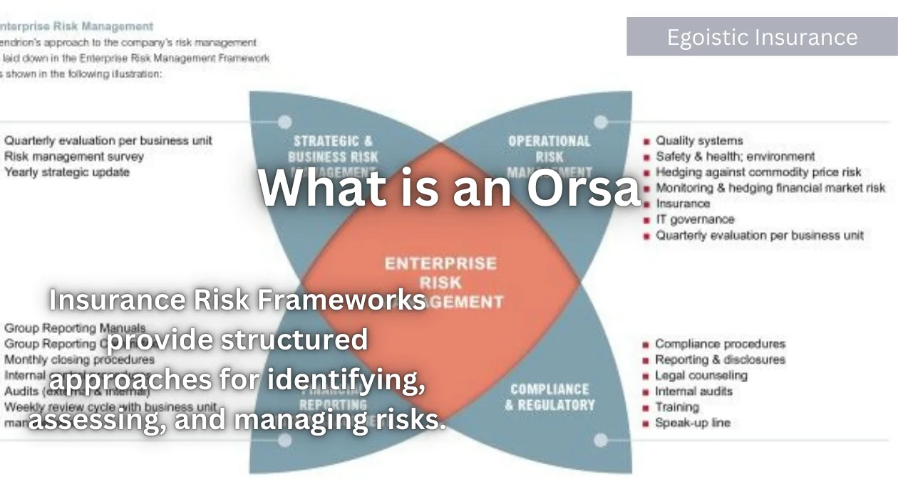 what is an orsa