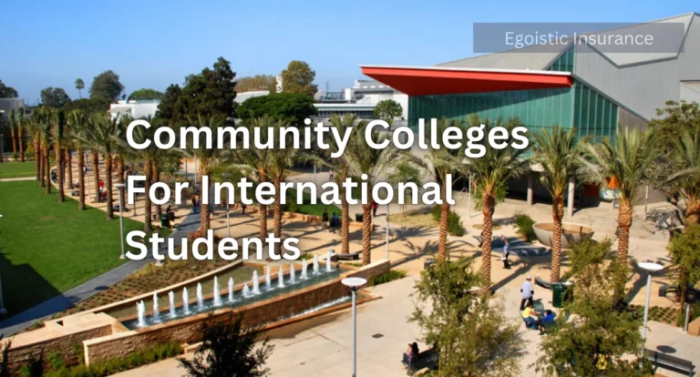 Community Colleges for International Students: A Comprehensive Guide