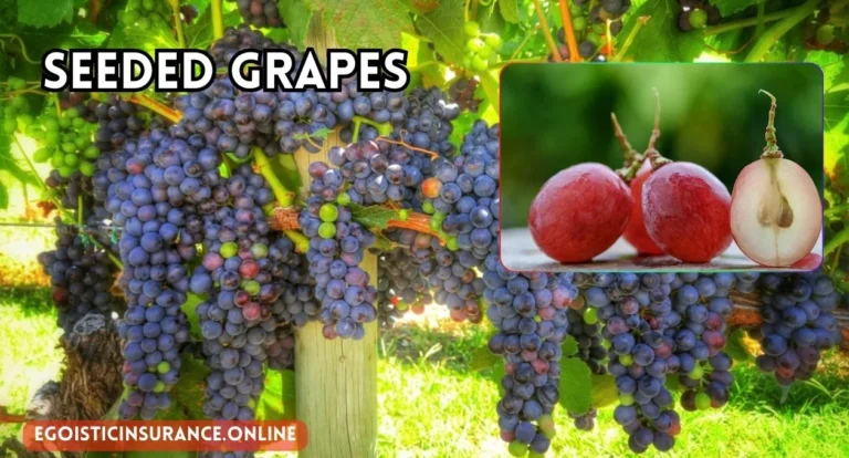 seeded grapes